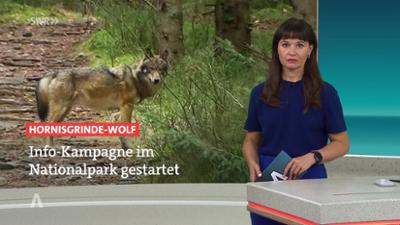 SWR Aktuell: Sendung 17:00 Uhr vom 19.8.2026