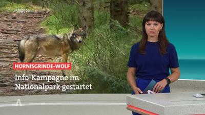 SWR Aktuell: Sendung 18:00 Uhr vom 19.8.2026