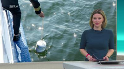 SWR Aktuell: Sendung 17:00 Uhr vom 20.2.2026