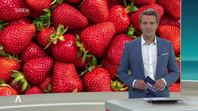 SWR Aktuell: Sendung 16:00 Uhr vom 1.4.2026