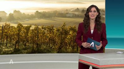 SWR Aktuell: Sendung 18:00 Uhr vom 20.10.2026