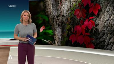 SWR Aktuell: Sendung 18:00 Uhr vom 20.10.2026