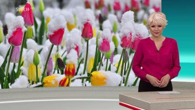 SWR Aktuell: Sendung 18:00 Uhr vom 21.4.2024