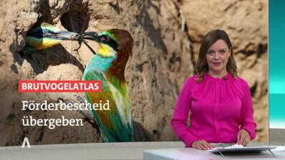 SWR Aktuell: Sendung 17:00 Uhr vom 21.7.2025