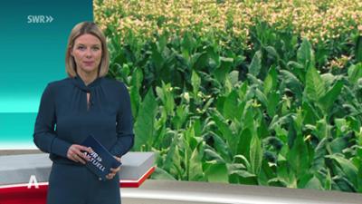 SWR Aktuell: Sendung 19:30 vom 21.11.25