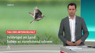 SWR Aktuell: Sendung 17:00 Uhr vom 22.5.2026