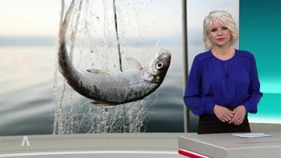 SWR Aktuell: Sendung 18:00 Uhr vom 23.1.2026