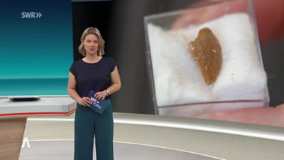 SWR Aktuell: Sendung 21:45 Uhr vom 23.4.2026