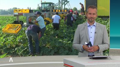 SWR Aktuell: Sendung 16.00 Uhr vom 23.6.2026