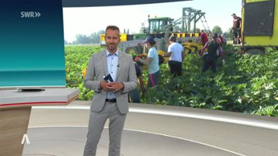 SWR Aktuell: Sendung 18:00 Uhr vom 23.6.2026