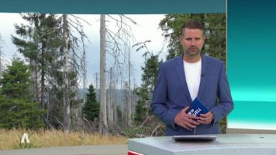 SWR Aktuell: Sendung 18:00 Uhr vom 23.7.2025