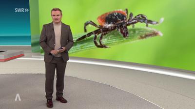 SWR Aktuell: Sendung 19:30 Uhr vom 23.10.2026