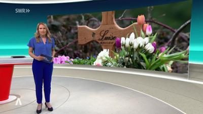 SWR Aktuell: Sendung 19:30 Uhr vom 24.7.2025