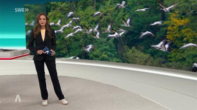 SWR Aktuell: Sendung 19:30 Uhr vom 24.10.2025 SWR Aktuell: Sendung 19:30 Uhr vom 24.10.2025