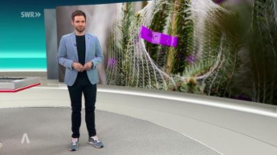 SWR Aktuell: Sendung 19:30 Uhr vom 24.11.2025