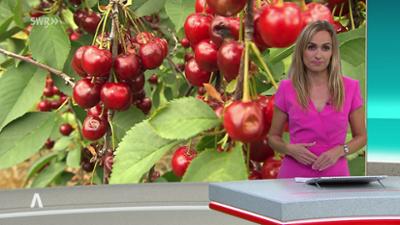 SWR Aktuell: Sendung 21:45 Uhr vom 26.07.2025