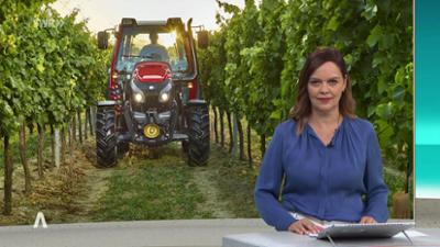SWR Aktuell: Sendung 18:00 Uhr vom 26.8.2025
