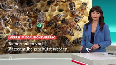 SWR Aktuell: Sendung 16:00 Uhr vom 27.5.2026