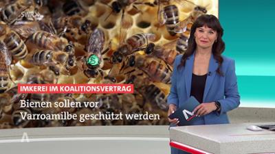 SWR Aktuell: Sendung 17:00 Uhr vom 27.5.2026