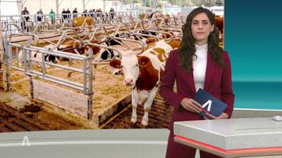 SWR Aktuell: Sendung 19:45 Uhr vom 27.9.2026