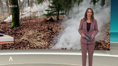 SWR Aktuell: Sendung 19:30 Uhr vom 28.3.2026