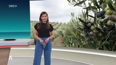 SWR Aktuell: Sendung 18:00 Uhr vom 28.7.2026