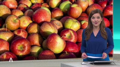 SWR Aktuell: Sendung 16:00 vom 28.10.2025 SWR Aktuell: Sendung 16:00 vom 28.10.2025