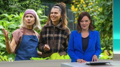 SWR Aktuell: Sendung 18:00 Uhr vom 28.11.2025