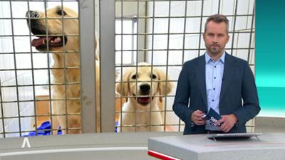 SWR Aktuell: Sendung 18:00 Uhr vom 28.12.2025