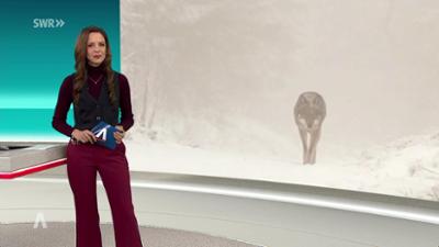 SWR Aktuell: Sendung 19:30 Uhr vom 29.1.2026