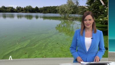 SWR Aktuell: Sendung 19:30 Uhr vom 29.5.2026