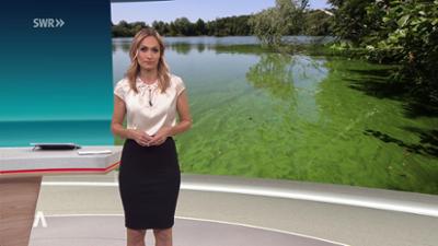 SWR Aktuell: Sendung 21:45 Uhr vom 29.5.2026