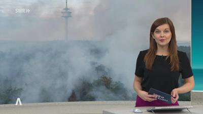 SWR Aktuell: Sendung 17:00 Uhr vom 29.6.2026