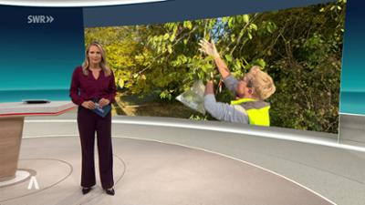 SWR Aktuell: Sendung 19:30 Uhr vom 29.10.2026