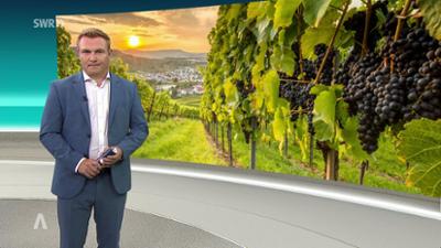 SWR Aktuell: Sendung 19:30 vom 30.8.2025