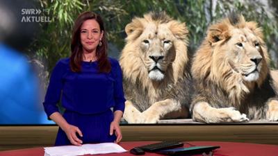 SWR Baden-Württemberg: Sendung 19:30 Uhr vom 28.4.2021