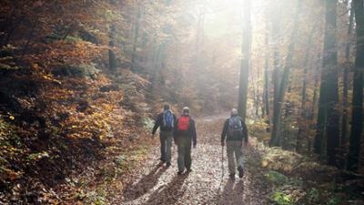 Treffpunkt: Wandern auf spannenden Wegen: Naturerlebnisse im Herbst