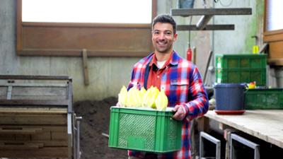 Treffpunkt: Regionales Superfood mit Bitterstoffen: Chicorée, Kimchi und Schokolade