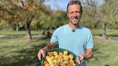 Treffpunkt: Alles Apfel: Altes Kelterhandwerk, Apfelleder und Kuchengenuss
