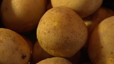 Was wo wie wächst: Was wird aus Kartoffeln? · Was wo wie wächst