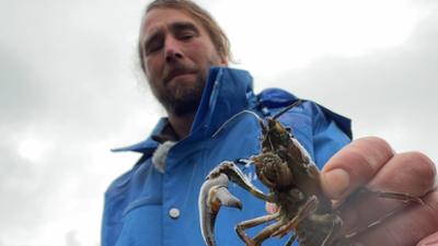 Woher wissen wir das?: Invasive Arten · Woher wissen wir das?