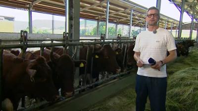 Zur Sache Baden-Württemberg: Bauern am Limit - Wer sorgt künftig für unser Essen?
