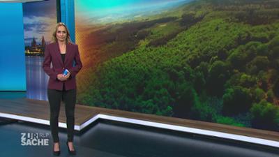 Zur Sache Rheinland-Pfalz