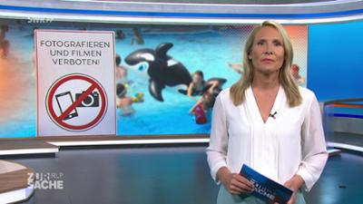 Zur Sache Rheinland-Pfalz: Sendung vom 13.08.2026