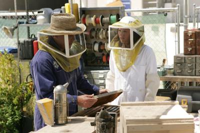 CSI: Den Tätern auf der Spur: Staffel 8, Folge 4: Die Karpfen Horror Picture Show