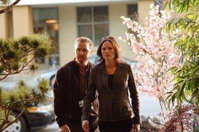 CSI: Den Tätern auf der Spur: Staffel 6, Folge 22: Tödliches Spiel