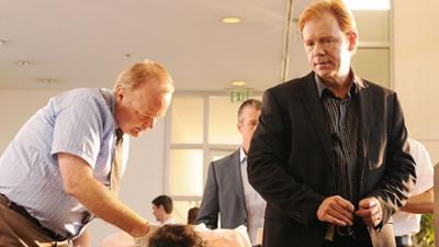 CSI: Miami: Folge 12: Flammen werfen ihre Schatten