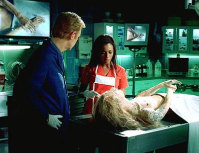 CSI: Miami: Staffel 1, Folge 23: Drogenwahn