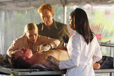 CSI: Miami: Staffel 1, Folge 1: Absturz