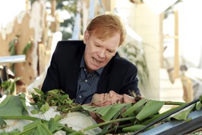 CSI: Miami: Staffel 10, Folge 3: Ein Tatort im Tornado